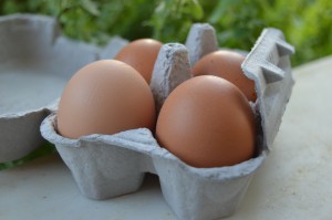 Eggs by ChrisJPG
