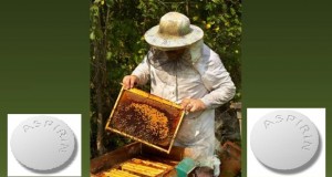 Ασπιρίνη και αλλεργία στη μέλισσα